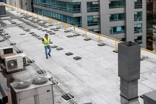 Best Emergency Roof Repair Services  in Grayvle, IL