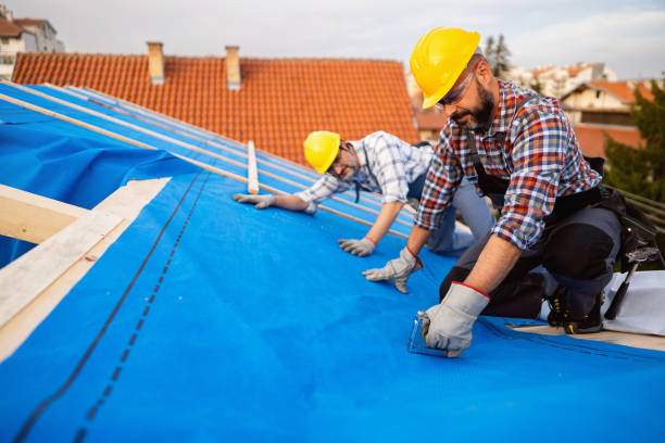 Best Roof Installation  in Grayvle, IL