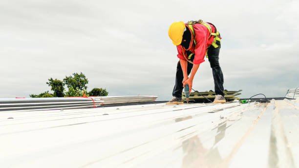 Best Asphalt Shingle Roofing  in Grayvle, IL